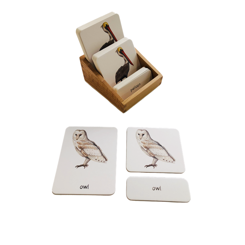 Montessori Shelf Toy - Montessori dil malzemeleri 3 bölüm kartları