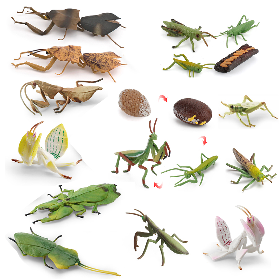 Kids Education Product - Gerçekçi Orkide Mantis Ölü Yaprak Mantis