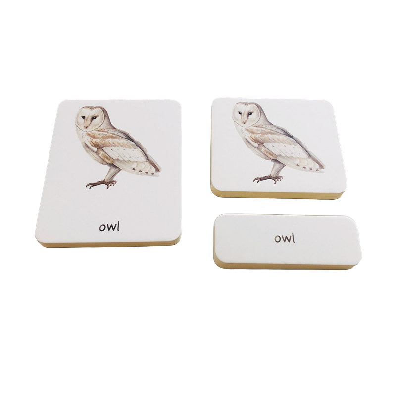 Montessori dil malzemeleri 3 b - Montessori Shelf Toy incelemesi ve fiyatı