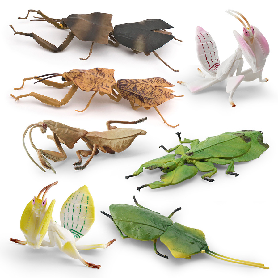 Gerçekçi Orkide Mantis Ölü Yap - Kids Education Product incelemesi ve fiyatı