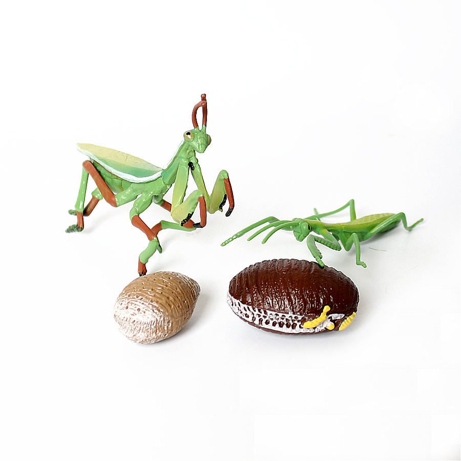 Gerçekçi Orkide Mantis Ölü Yap - Kids Education Product incelemesi ve fiyatı